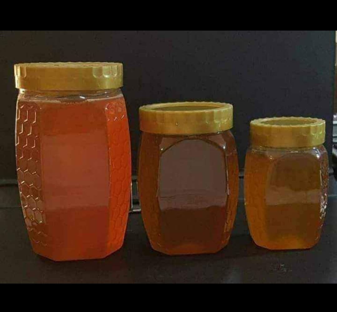 Desi Pure Palosa Honey